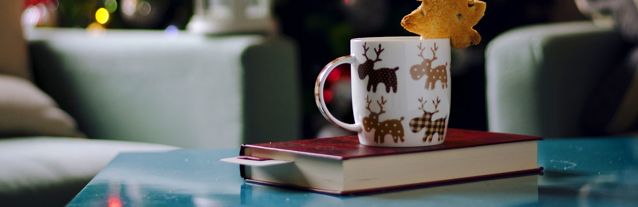 5 уютных книг для чтения в новогодние праздники