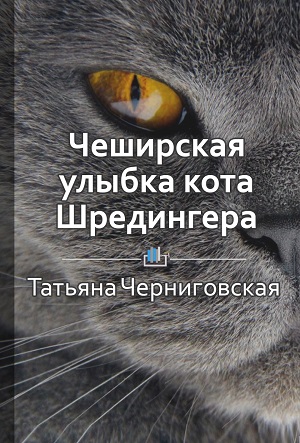 Чеширская улыбка кота Шредингера: язык и сознание